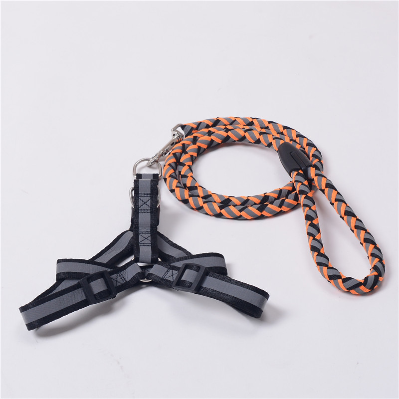 https://fulmo-img-server.com/wonderfulharness/a9dfe81e-04a0-4ebb-920e-0b46e8bb5b39.jpg