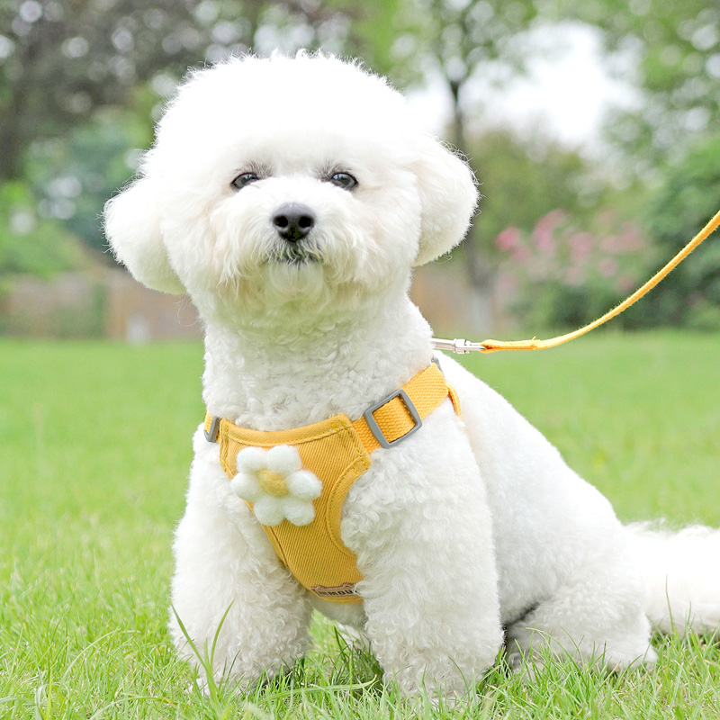 犬 ハーネス お花のついたふんわりハーネス
