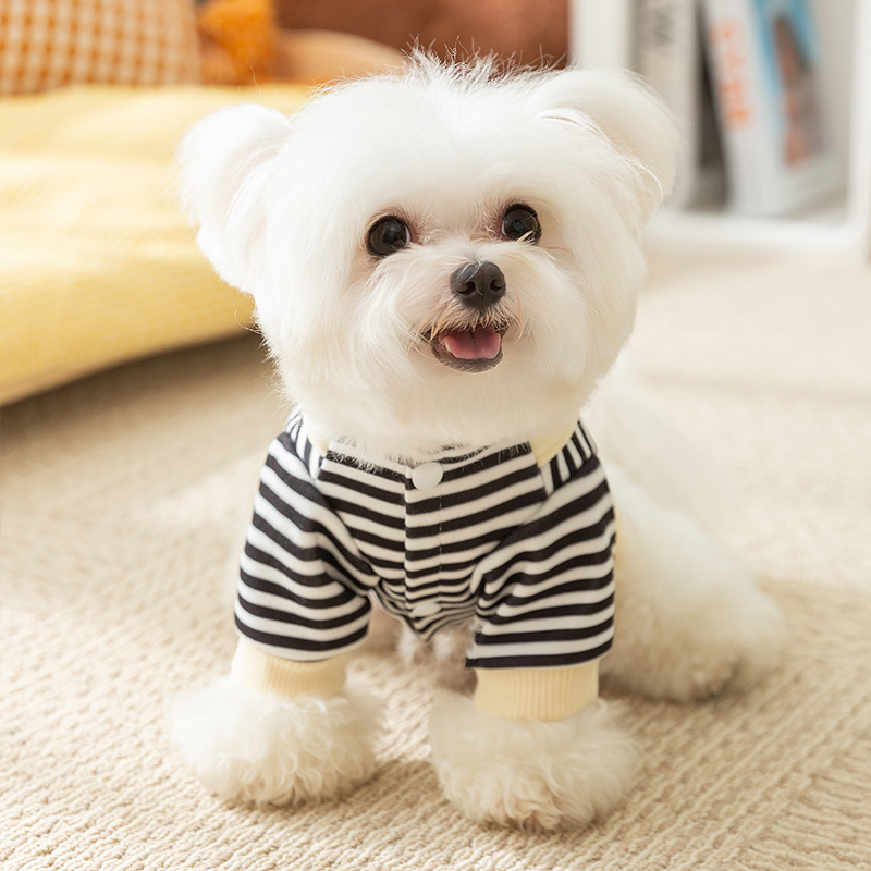 犬 ハーネス 涼やか縞模様ペア着用ハーネス