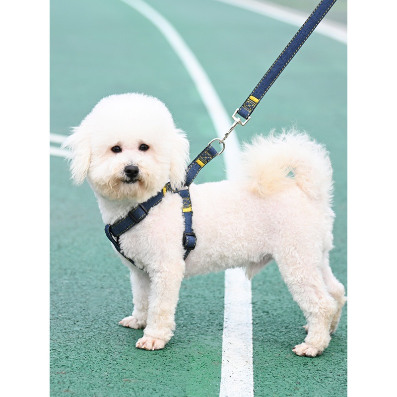 犬 ハーネス 中型犬向け デニム風胴輪リード付きセット