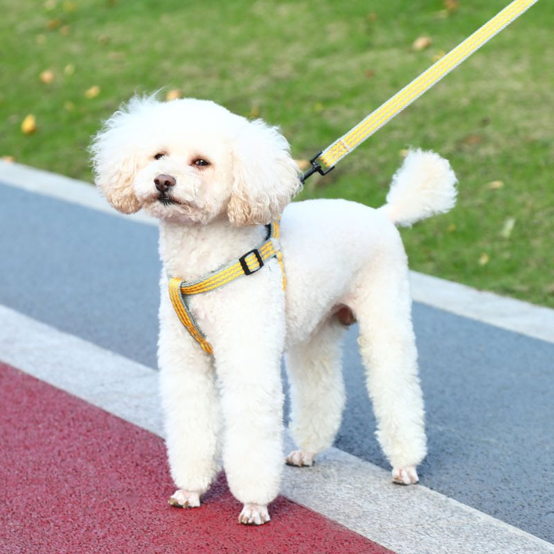 犬 ハーネス やさしい呼吸ハーネス