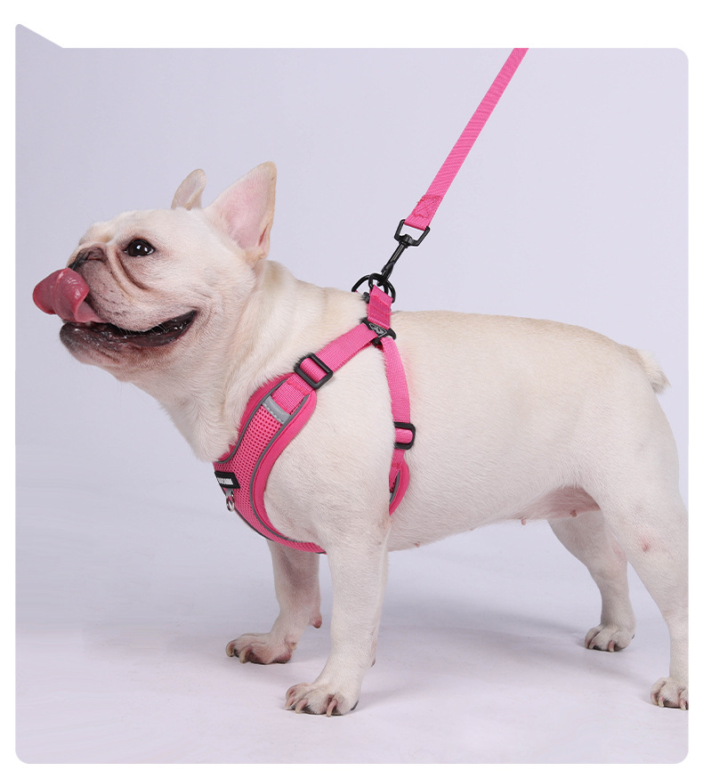 犬 ハーネス やさしい散歩ハーネス ゆったりフィット