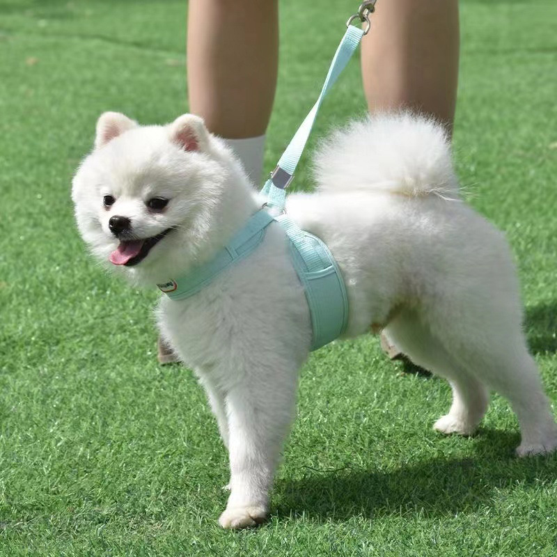 犬 ハーネス やわらか快適ハーネス