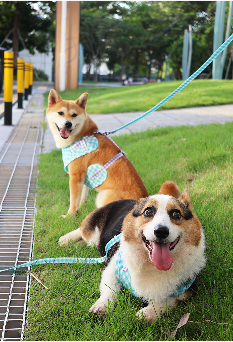 犬 ハーネス 格子柄パピーハーネスセット