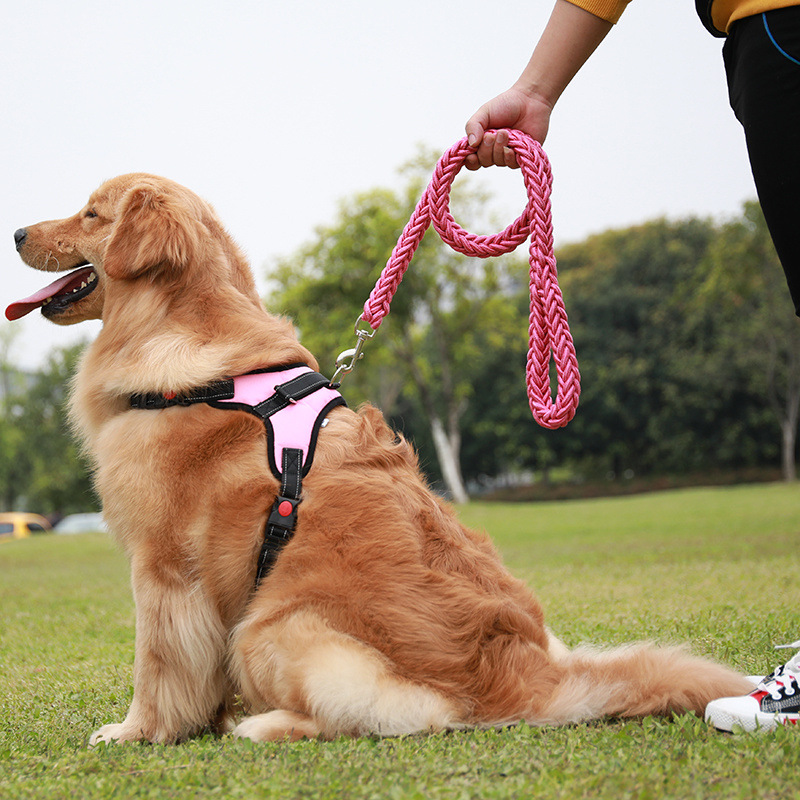 犬 ハーネス もこもこ編み込みハーネスセット