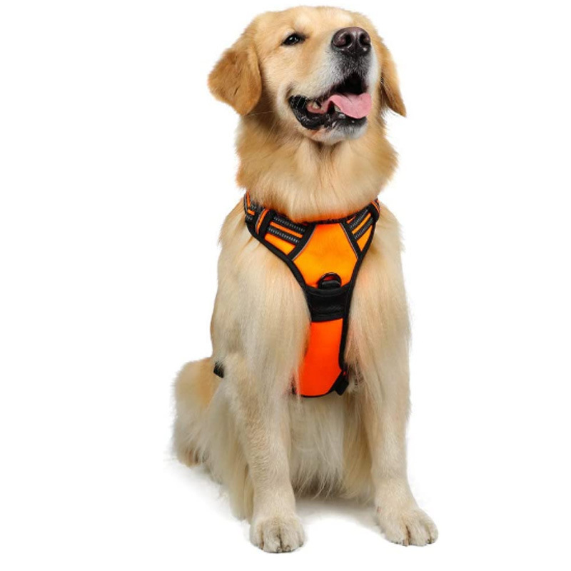 https://fulmo-img-server.com/wonderfulharness/ab511828-9323-43ed-b19b-aeced5a9fa51.jpg