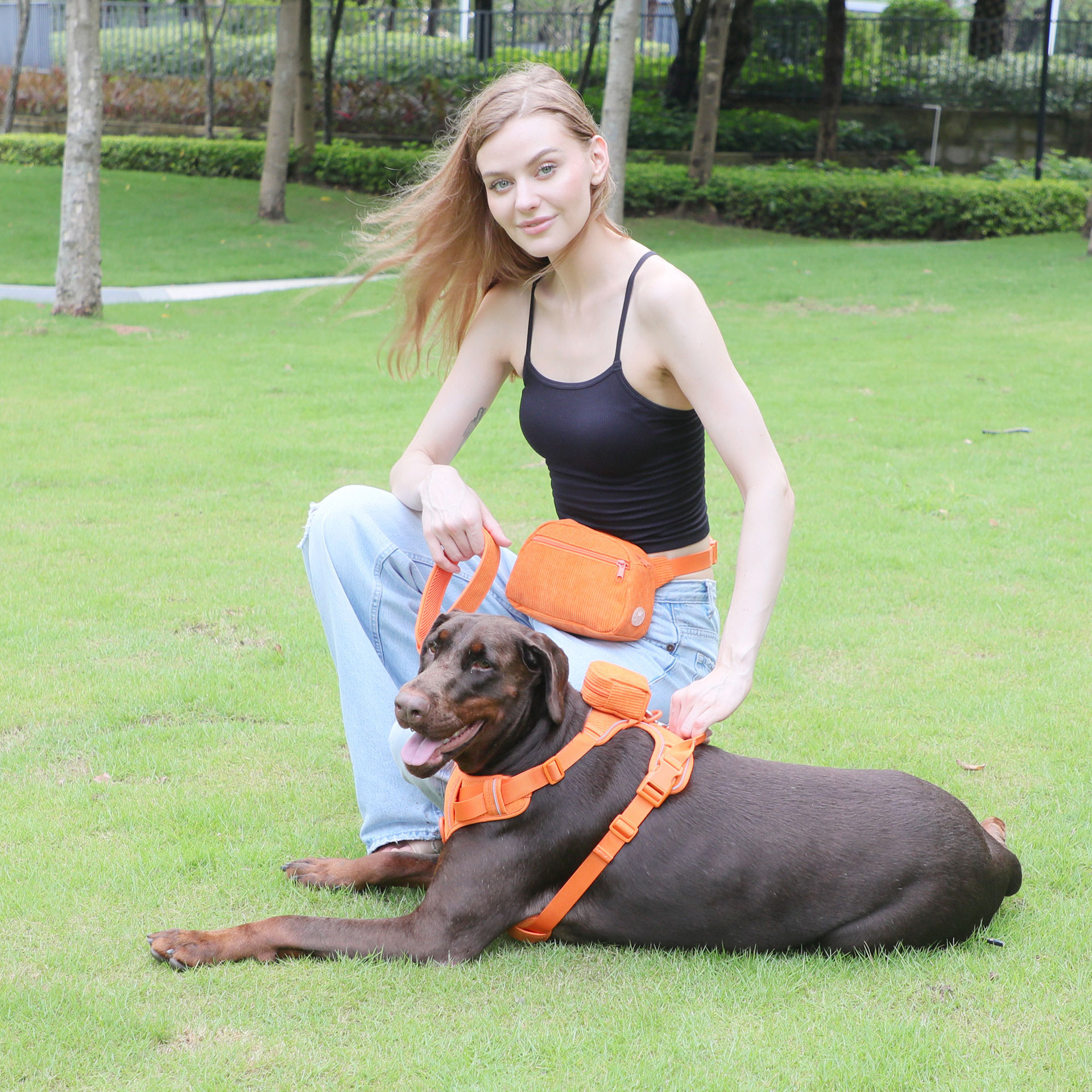 犬 ハーネス なめらか軽量ハーネス