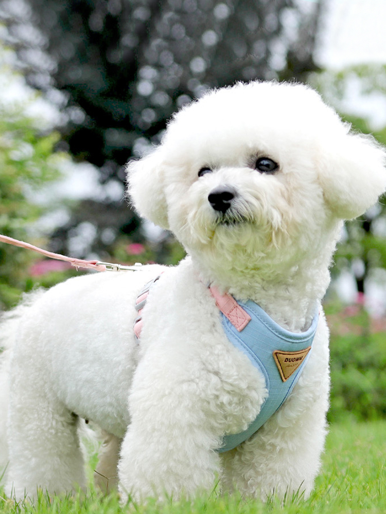 犬 ハーネス ふわもこペット用安心ハーネス