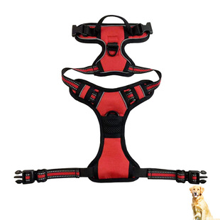 https://fulmo-img-server.com/wonderfulharness/abbf9efa-e3d9-493c-9586-dfd88a4f19ea.jpg
