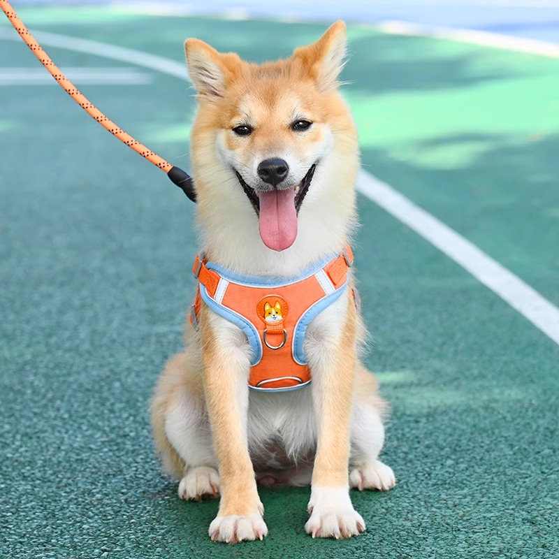 犬 ハーネス やさしさ包む 四季のハーネス