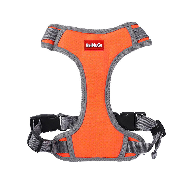 https://fulmo-img-server.com/wonderfulharness/ac0108c9-faee-499f-9869-a79785591f9b.jpg