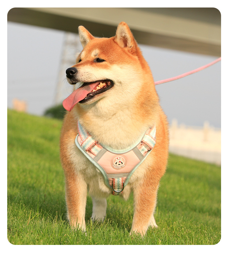 犬 ハーネス やわらか素材の四季彩ハーネス