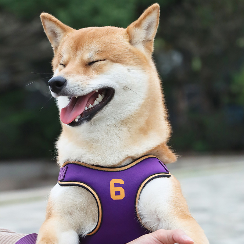 犬 ハーネス アスリートメッシュハーネス