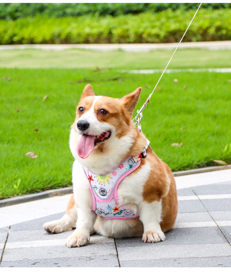 犬 ハーネス 快適お散歩ハーネス 爽やか軽量タイプ