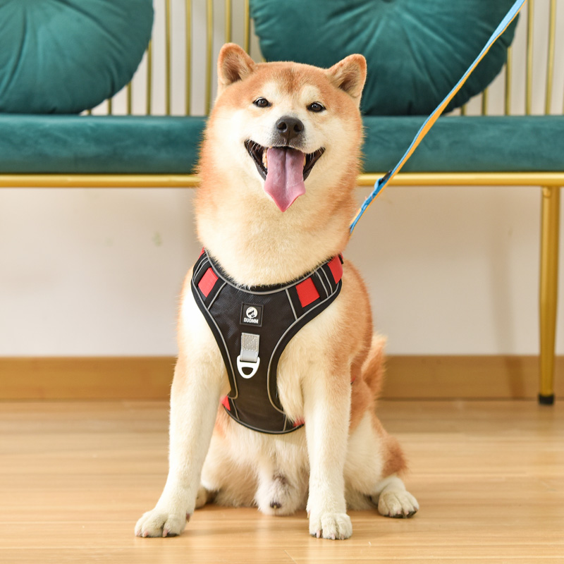 犬 ハーネス アクティブ ウォーカー ハーネス