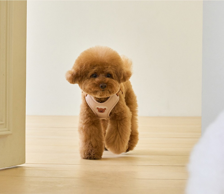 犬 ハーネス やさしい着け心地 ふんわり包み込むハーネス