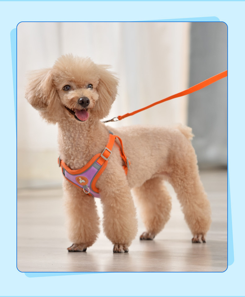 犬 ハーネス やわらか快適ハーネス