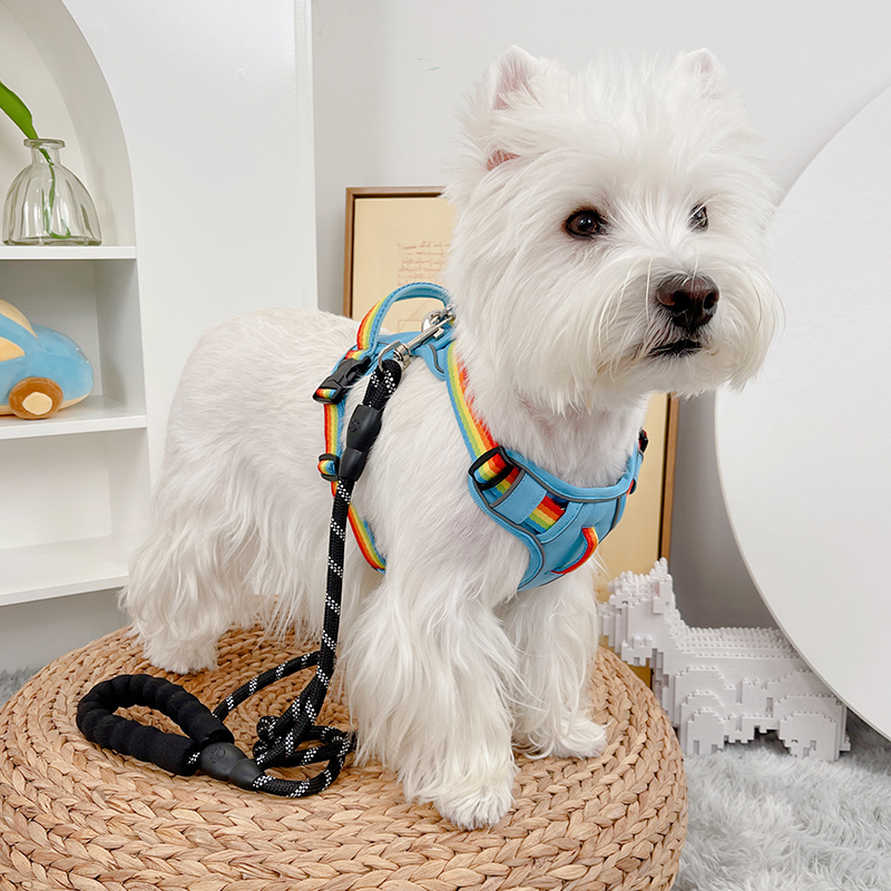 犬 ハーネス 快適おさんぽ職人ハーネス