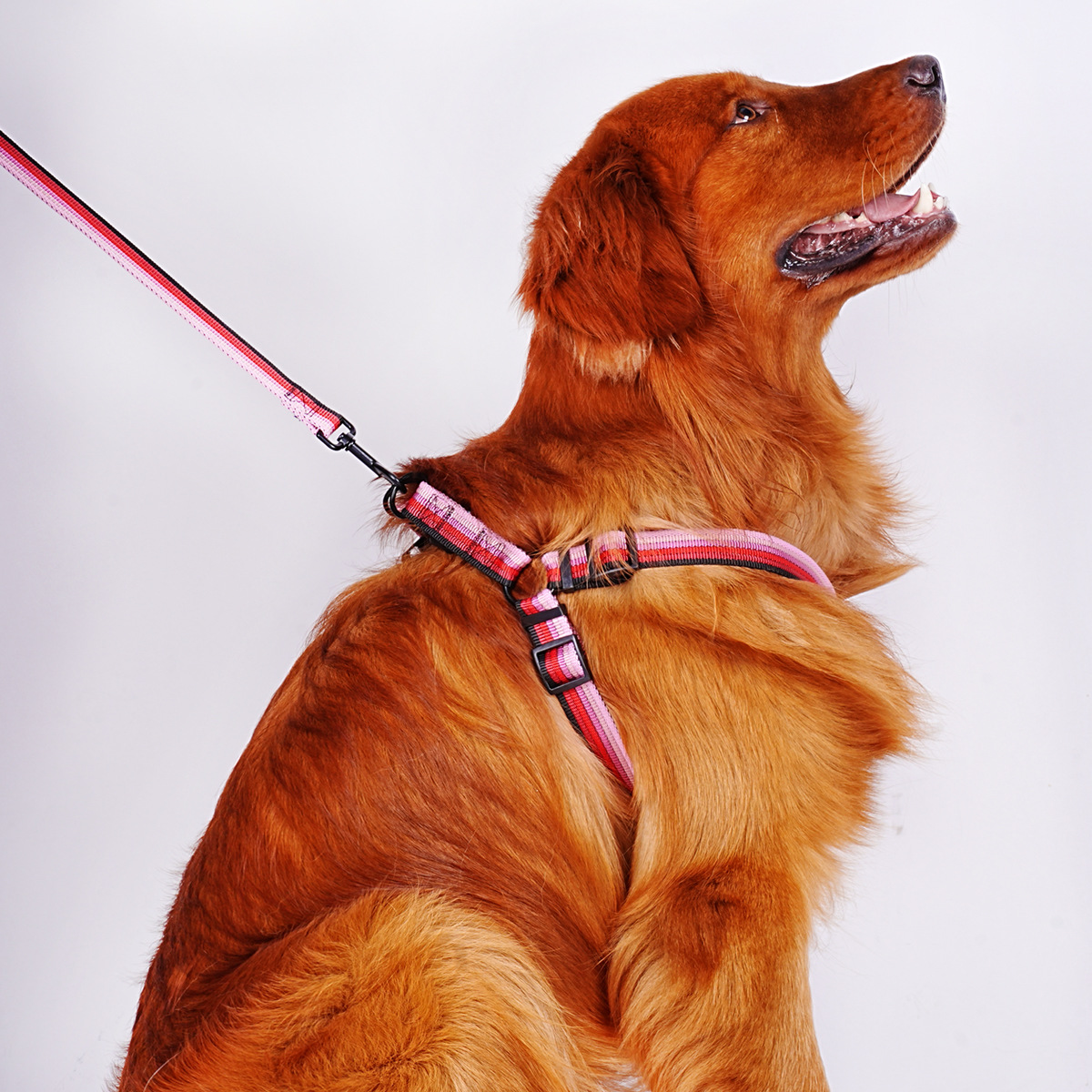 犬 ハーネス 快適シンプル ペットハーネス