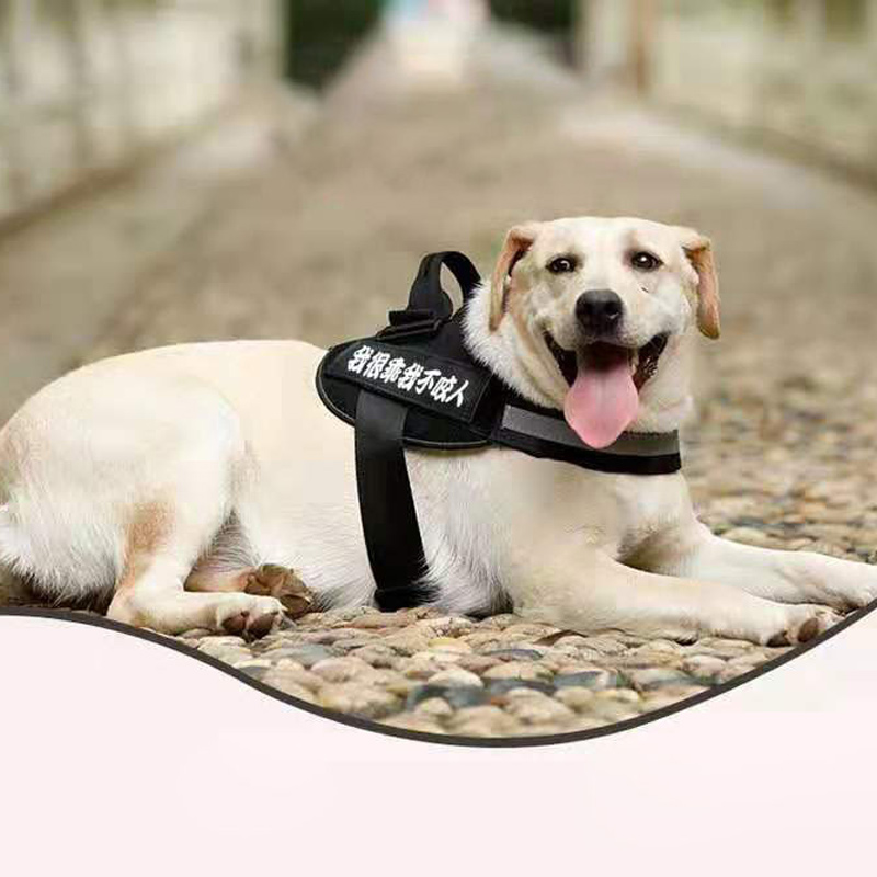犬 ハーネス スタンダード 警備犬用ハーネス