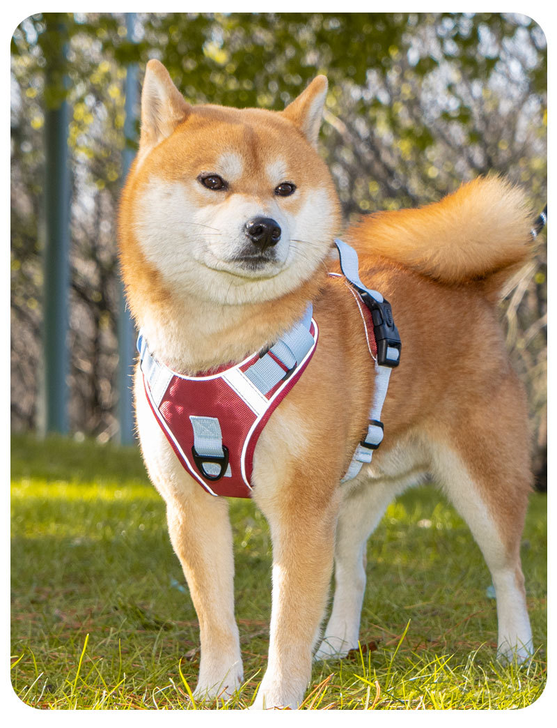犬 ハーネス やさしさ包む快適ハーネス