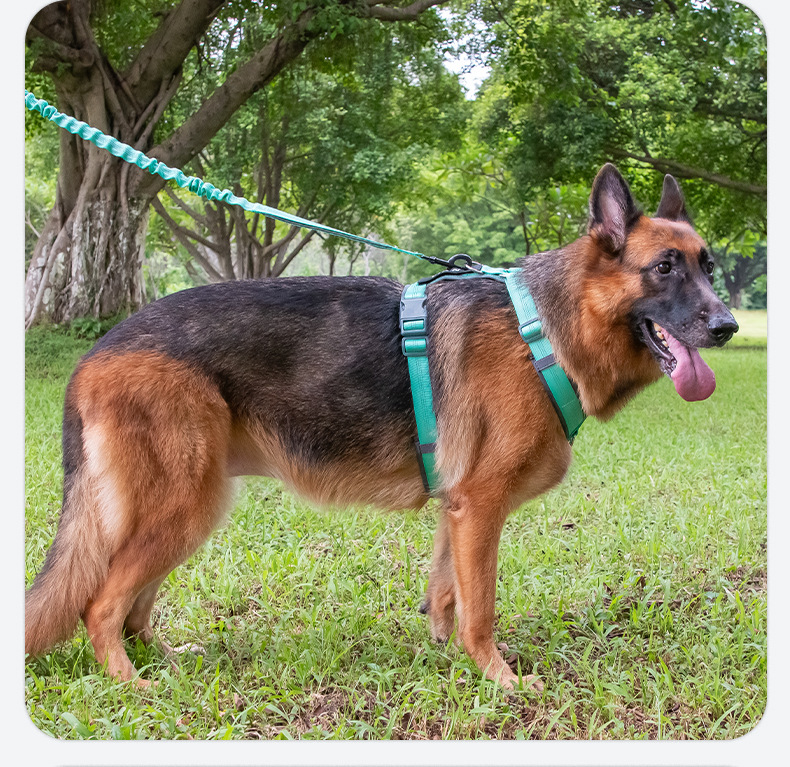 犬 ハーネス やさしく包み込む 軽量ハーネス