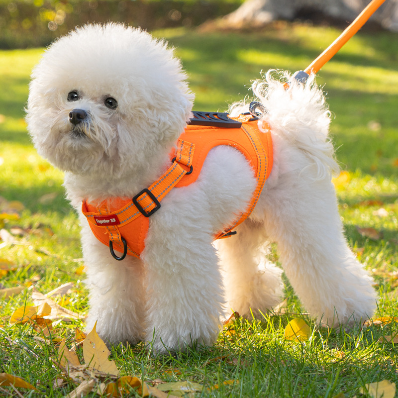 犬 ハーネス やさしい装着感 軽量メッシュハーネス