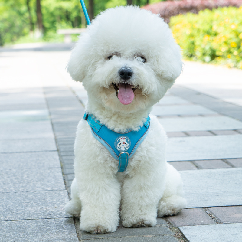 犬 ハーネス ふんわり包み込むやさしいハーネス