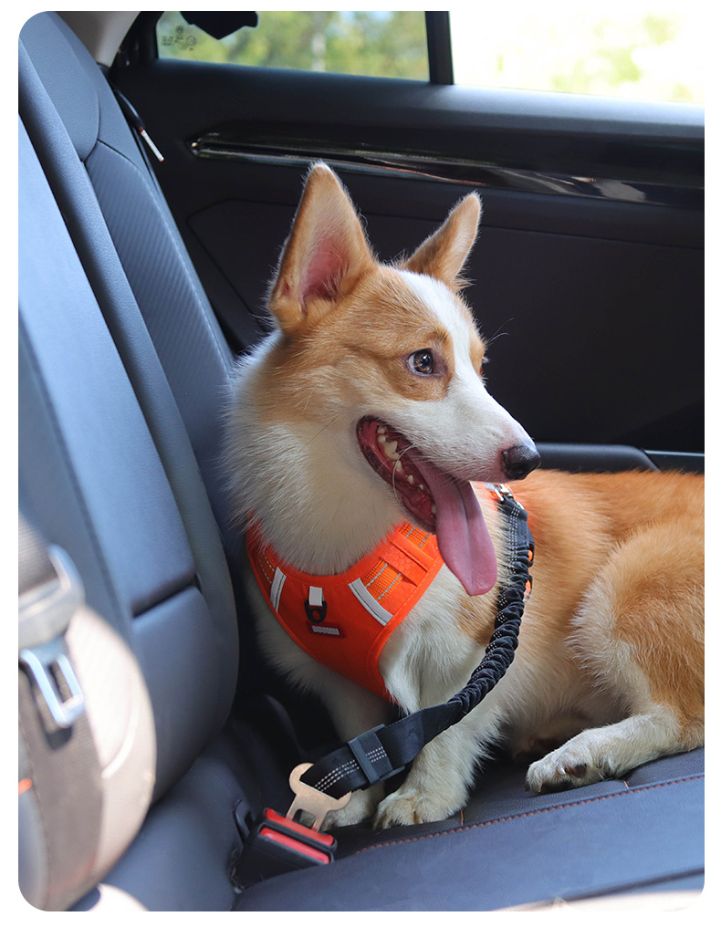 犬 ハーネス ソフトフィット安全ハーネス