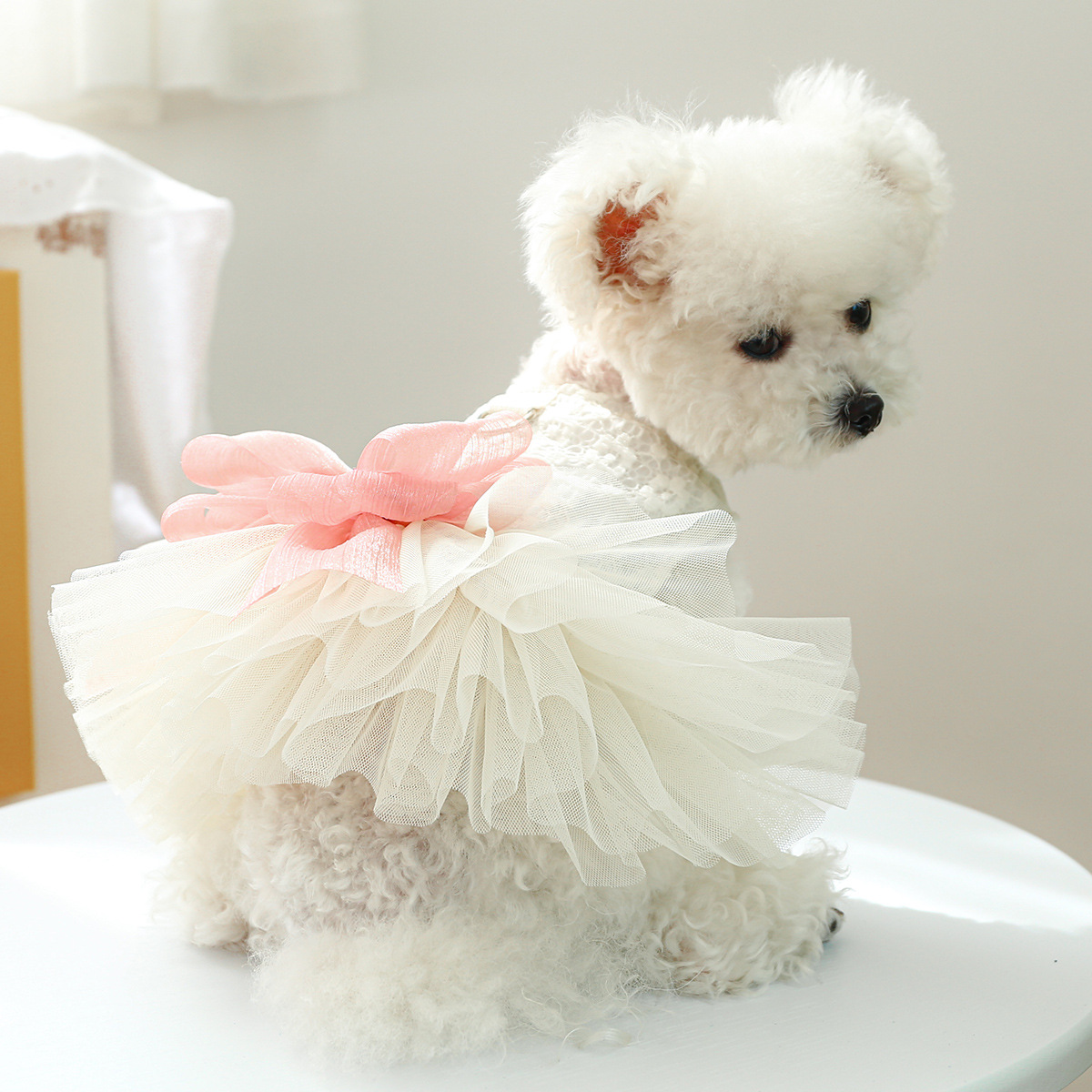 犬 ハーネス 生成エラーです