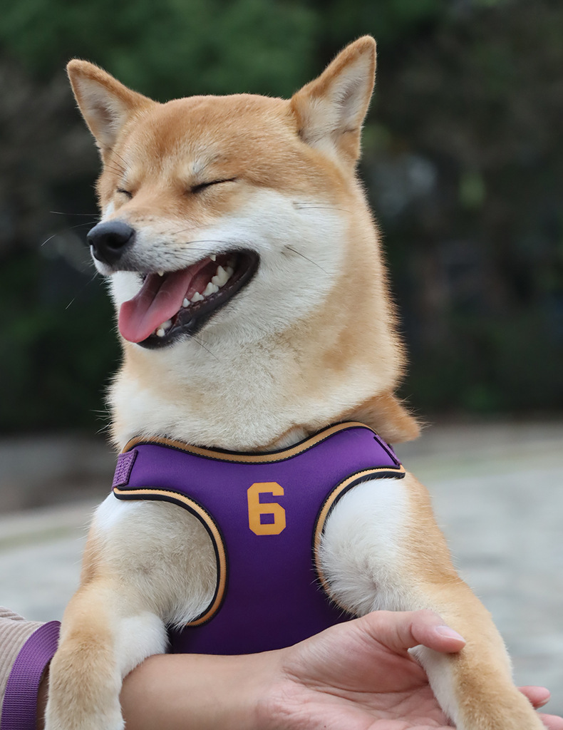 犬 ハーネス スポーツメッシュ 軽快ハーネス