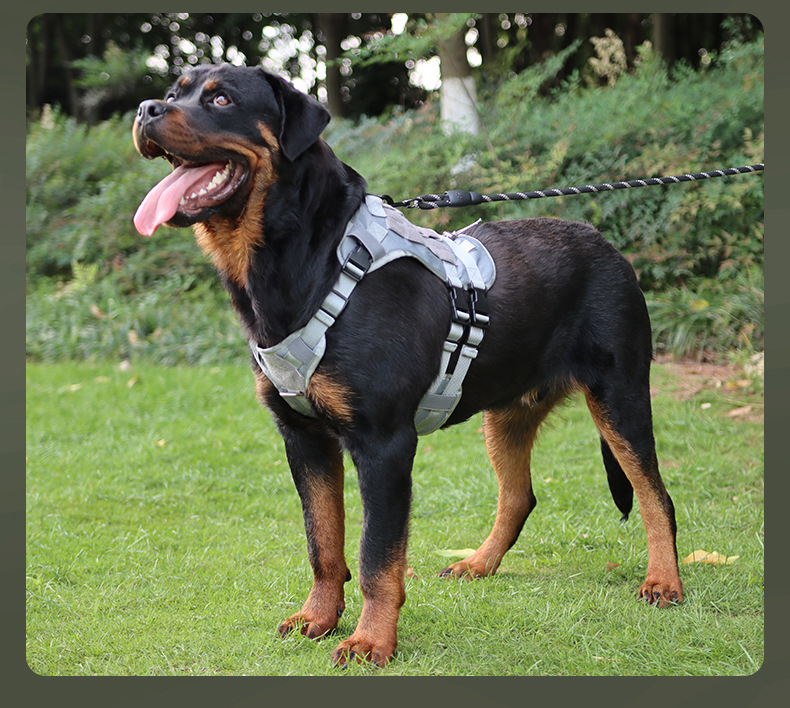 犬 ハーネス フィット感抜群 らくらくハーネス