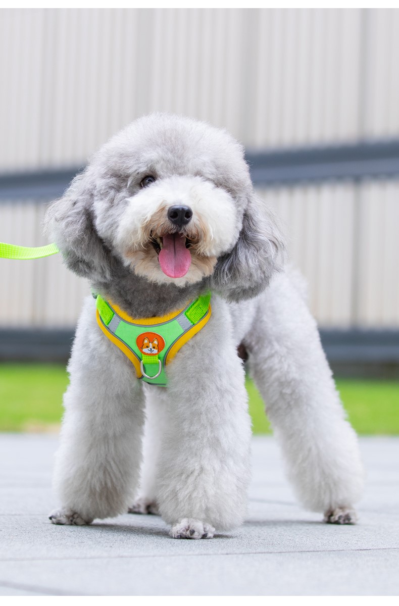 犬 ハーネス やさしい着け心地 ソフトハーネス