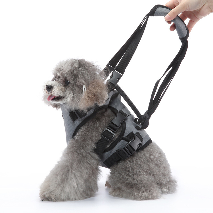 https://fulmo-img-server.com/wonderfulharness/b170c07e-1618-4ad8-8fdd-93fb68550eb4.jpg