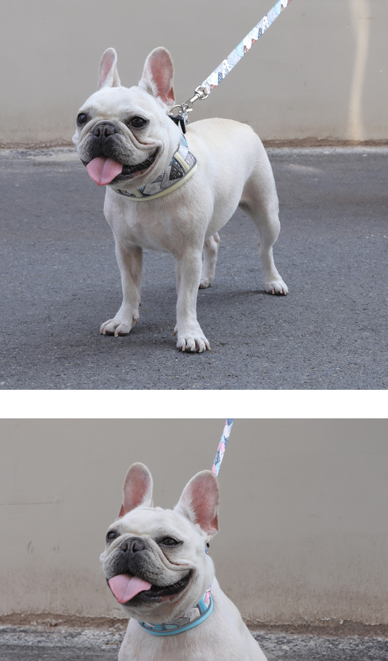 犬 ハーネス 和柄うたかた リードハーネスセット