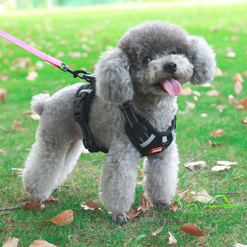 犬 ハーネス やさしさ包む ふんわりハーネス