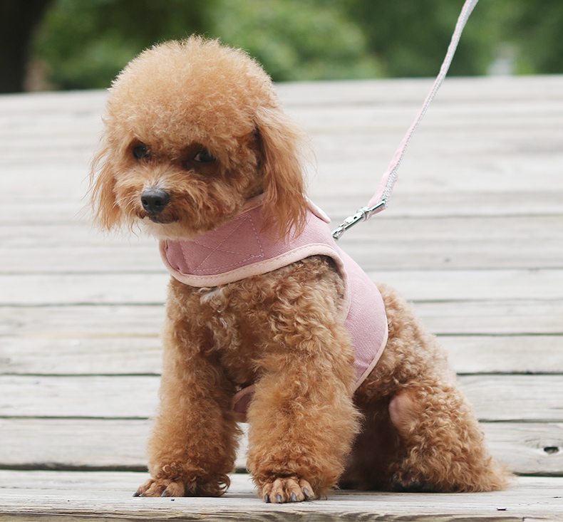 犬 ハーネス リボン付きメッシュハーネス