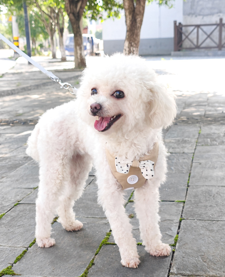 犬 ハーネス 水玉リボン付きハーネス
