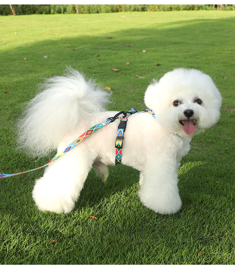 犬 ハーネス ふわもこペット用シンプル胴輪セット