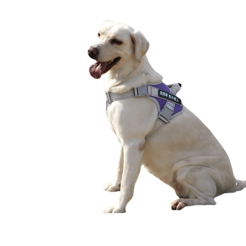 犬 ハーネス 介助犬用プロフェッショナルハーネス