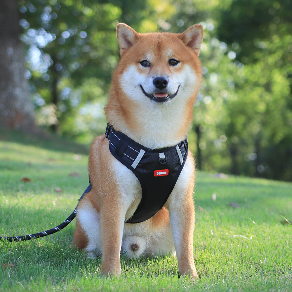 犬 ハーネス シンプル散歩軽量ハーネス