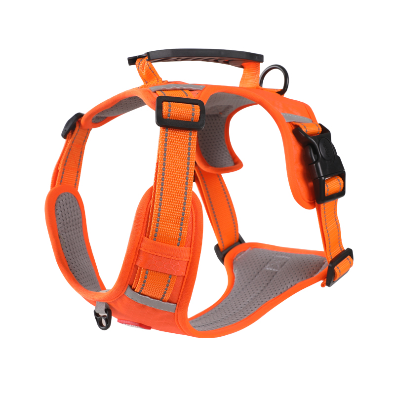 https://fulmo-img-server.com/wonderfulharness/b30a7494-3087-4e2c-b0da-1529176992ed.jpg