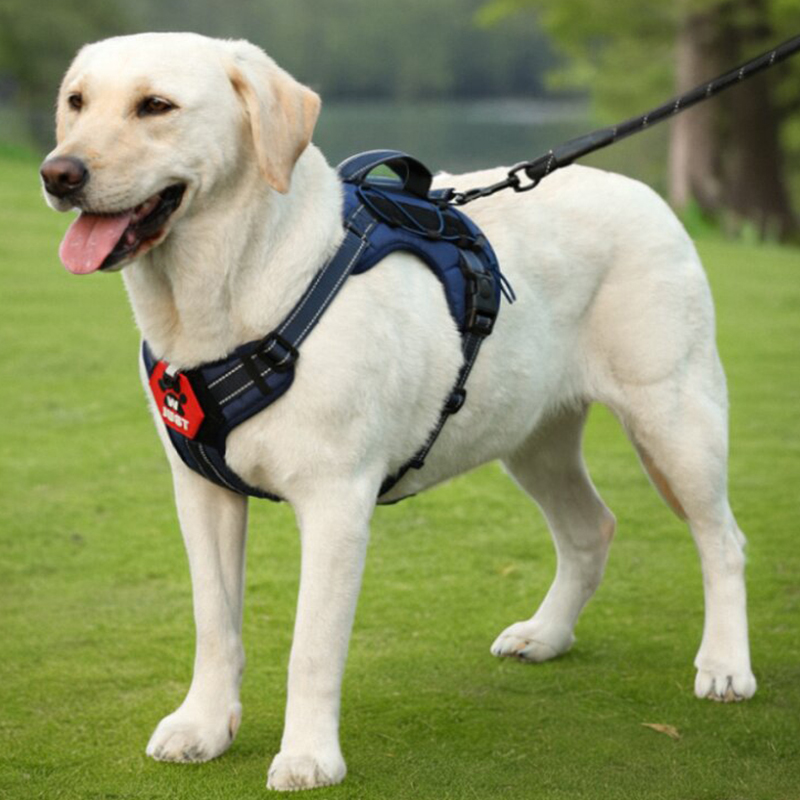 犬 ハーネス お散歩楽々ハーネス やさしい肩当て