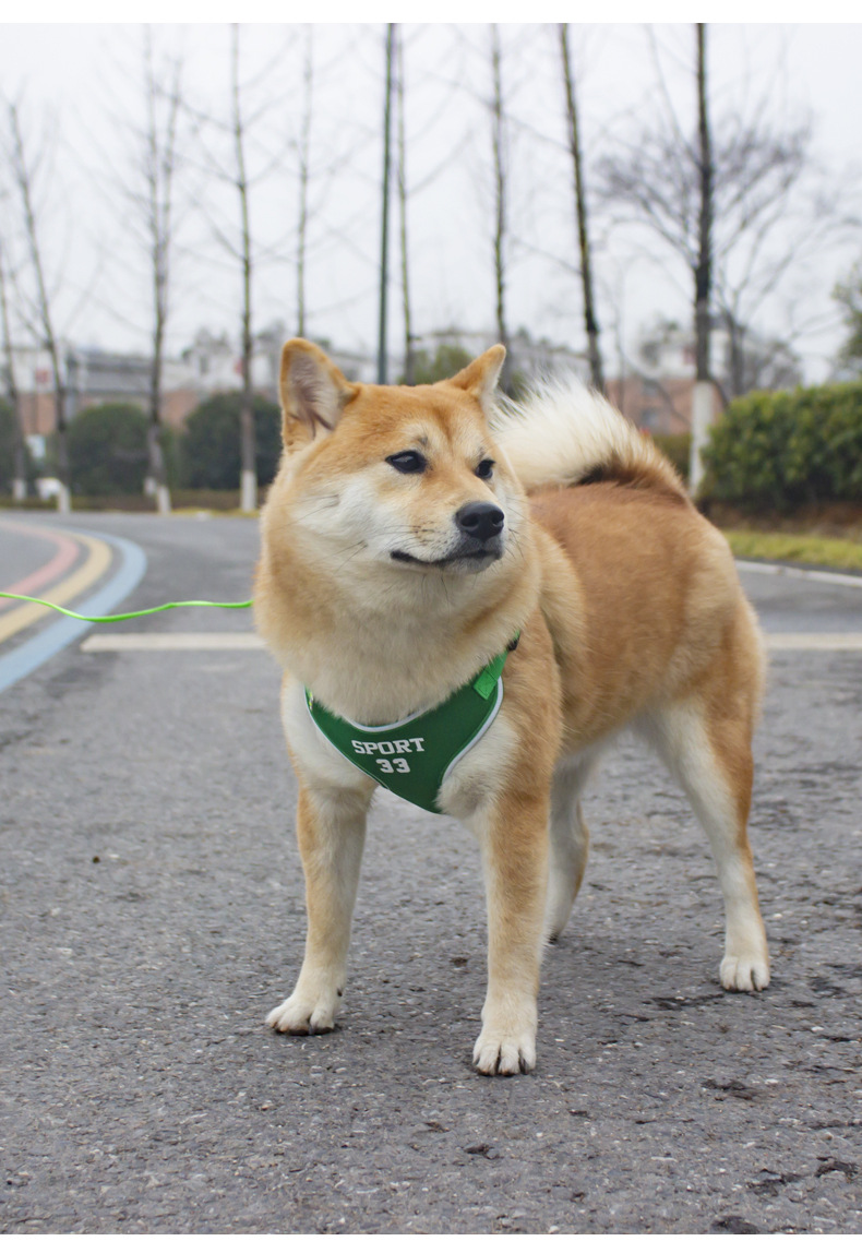 犬 ハーネス アスリートメッシュハーネス