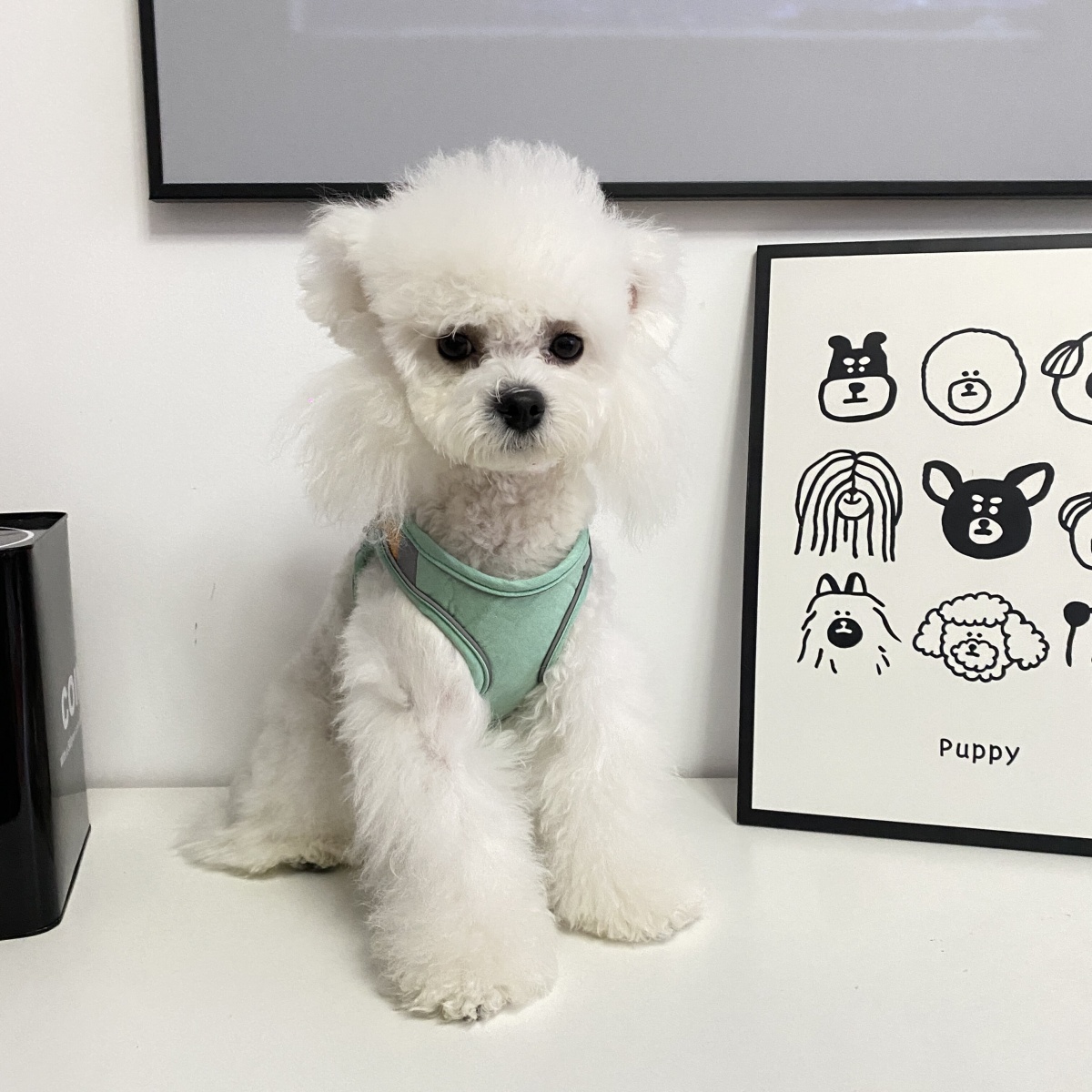 犬 ハーネス なめらかシンプルハーネス