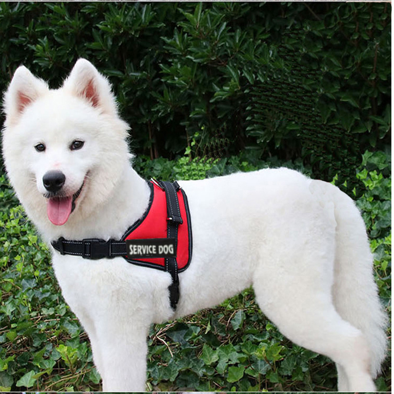 犬 ハーネス 介助犬用プロフェッショナルハーネス