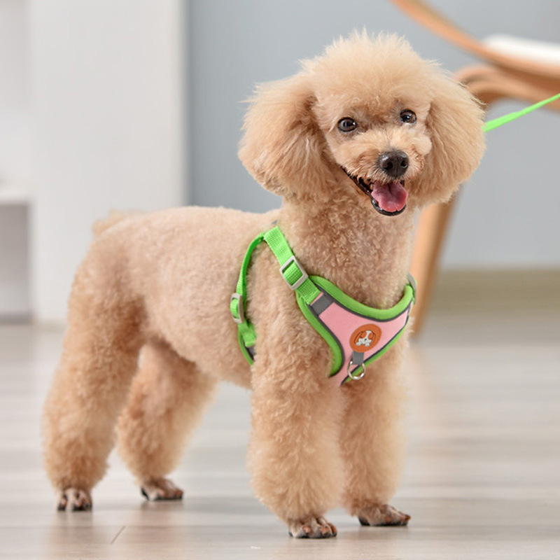 犬 ハーネス やわらか快適ハーネス