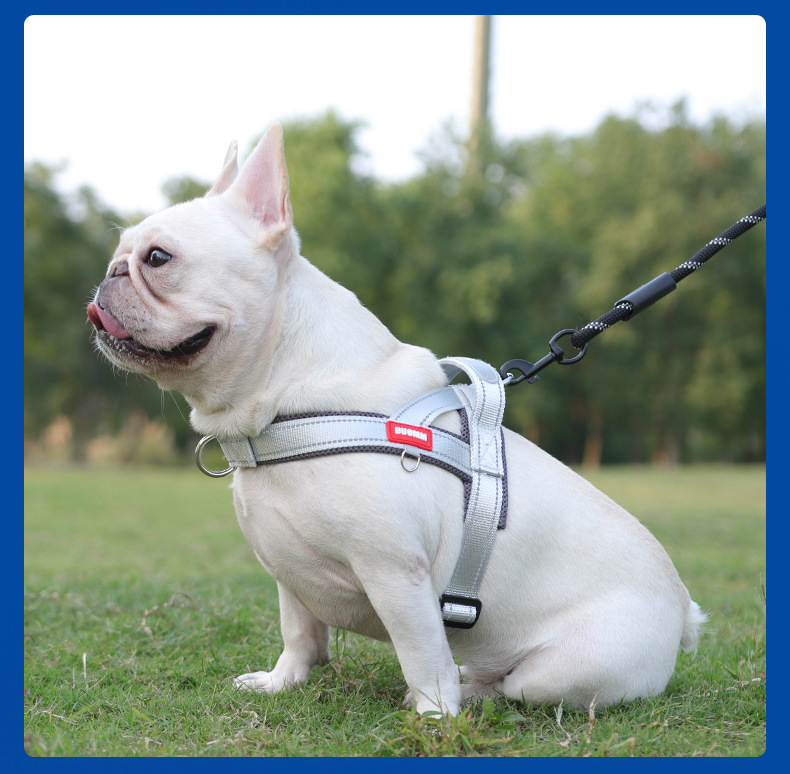 犬 ハーネス やさしさ包む快適ハーネス