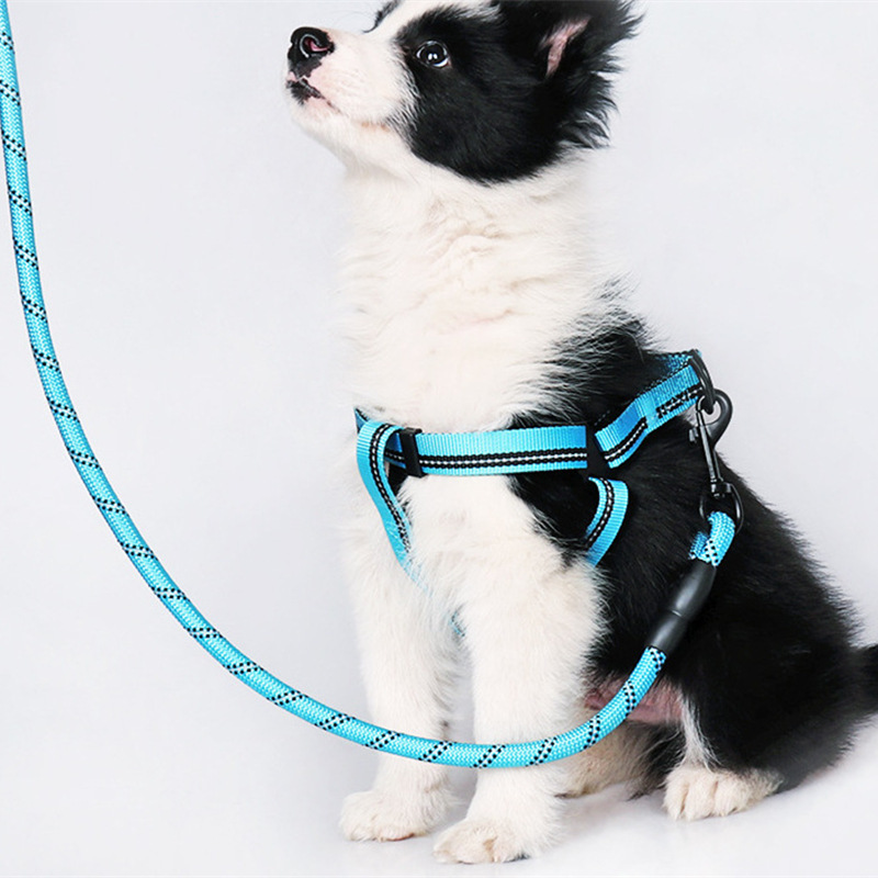 犬 ハーネス 快適お散歩用ハーネスリード一体型