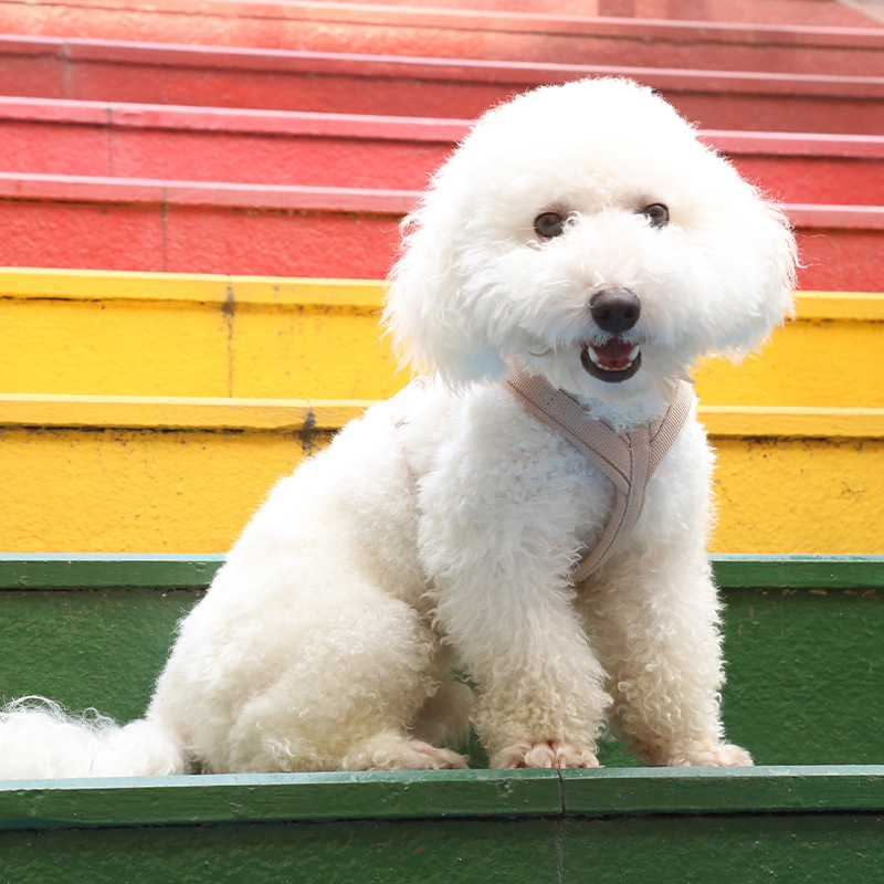 犬 ハーネス やさしい呼吸 ふわもこハーネス